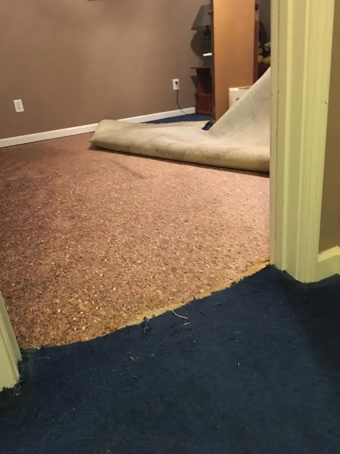 Carpet pad removal revealing water damage during Drying & Dehumidification in Pulaski