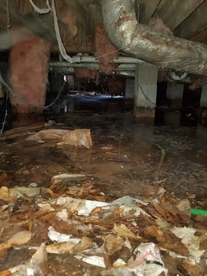 Crawl space flood assessment for Leak Detection & Repair in Pulaski