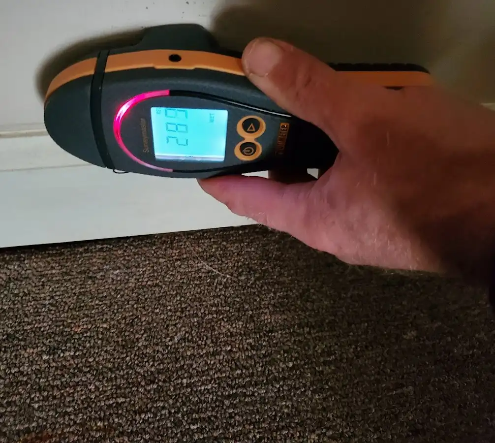 Moisture detection at baseboard during Sewage Cleanup & Sanitation in Pulaski